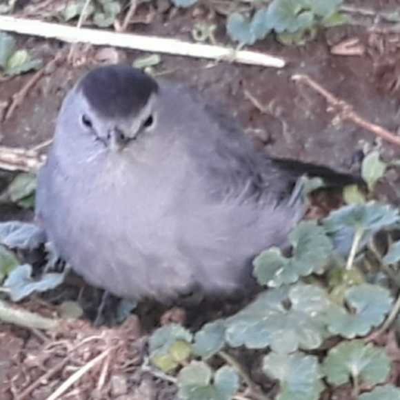 Meet your Posher, Patti - Picture 1 of 1